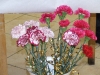dscf2101