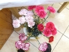 dscf2194