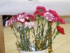 dscf2195